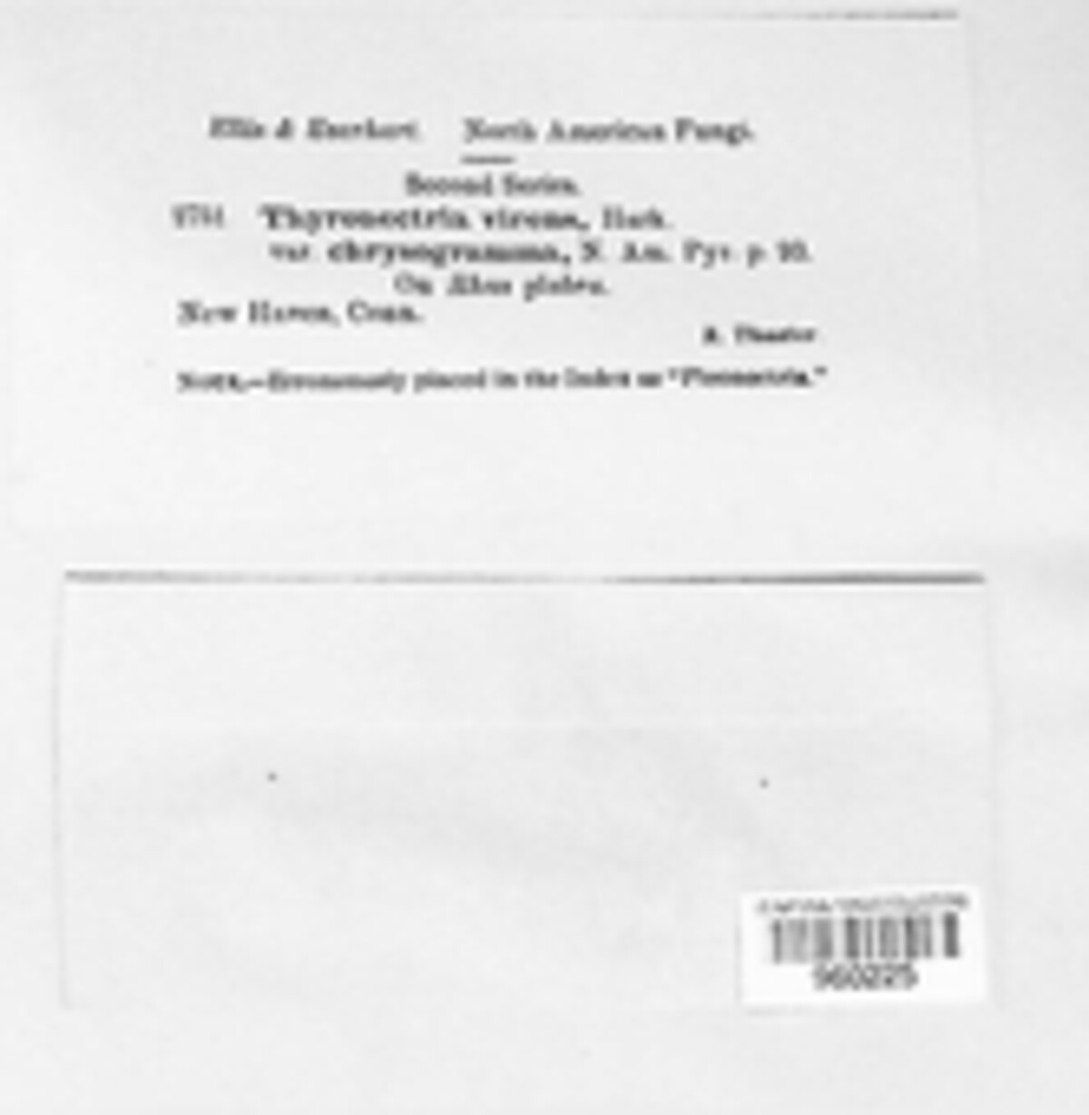 Pleonectria virens image